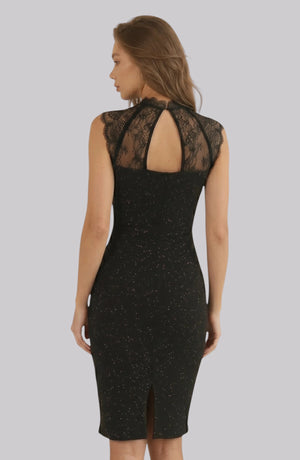 LORVENE Midnight Sequin Dress featuring a fitted silhouette, shimmering sequins, and elegant design for evening wear.
