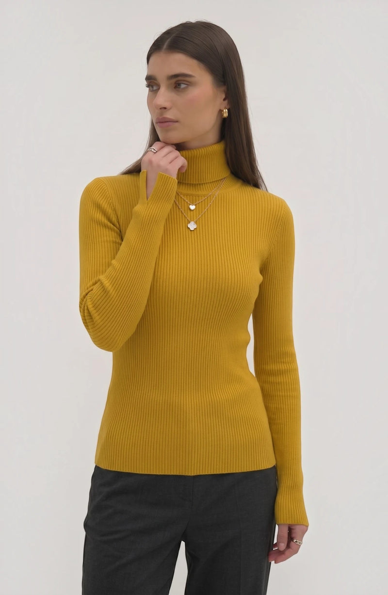LORVENE Pure Soft Polyester High Neck in a close-up image showing the smooth fabric and high neckline design.