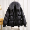 Black-Gray Fur Collar
