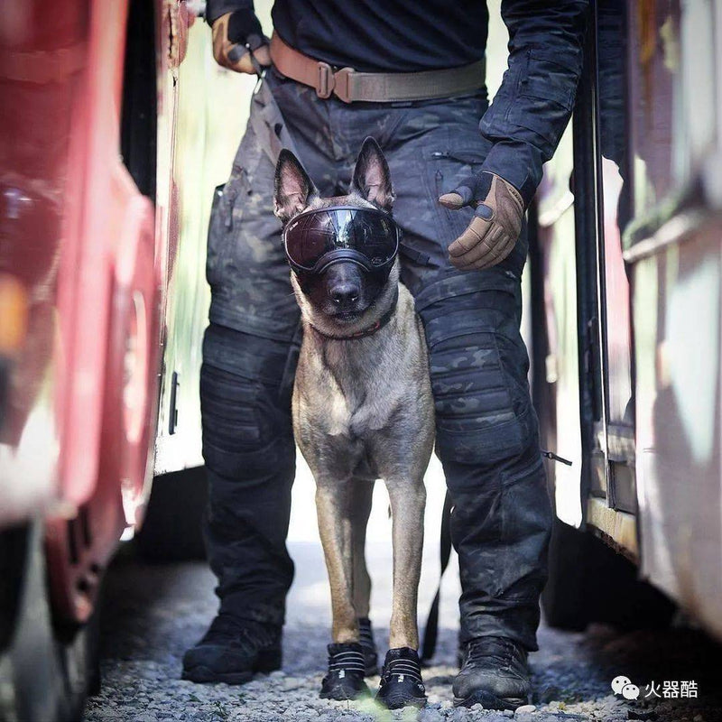 RefinedFit Cargo Pants Utility Urban