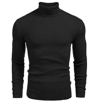 LORVENE Cashmere Wool Turtleneck Fine Knit